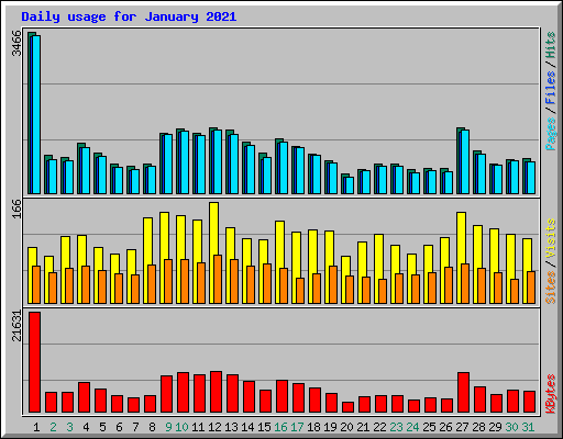 Daily usage for January 2021