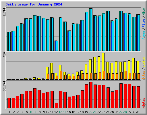 Daily usage for January 2024