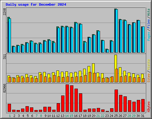 Daily usage for December 2024