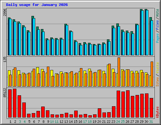 Daily usage for January 2026