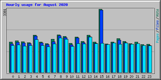 Hourly usage for August 2020