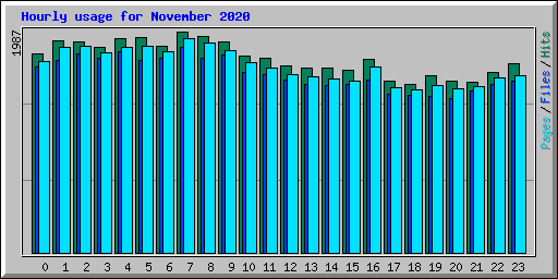Hourly usage for November 2020