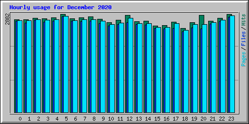 Hourly usage for December 2020