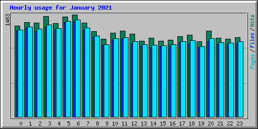 Hourly usage for January 2021