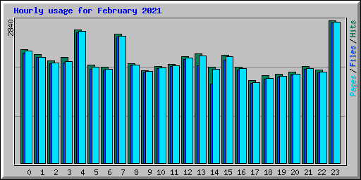 Hourly usage for February 2021