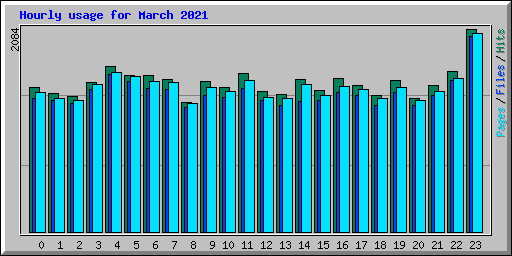 Hourly usage for March 2021