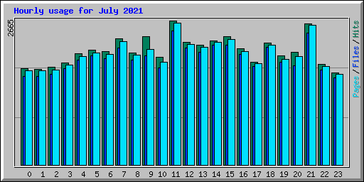 Hourly usage for July 2021