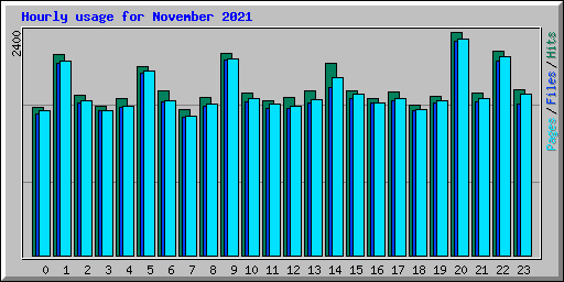 Hourly usage for November 2021