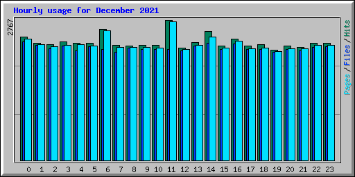Hourly usage for December 2021