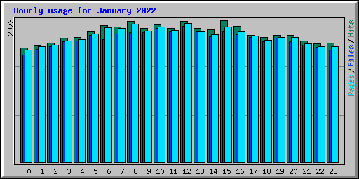 Hourly usage for January 2022