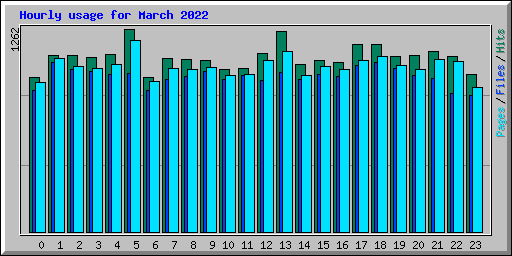Hourly usage for March 2022