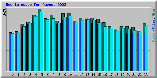 Hourly usage for August 2022
