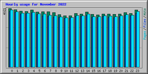 Hourly usage for November 2022