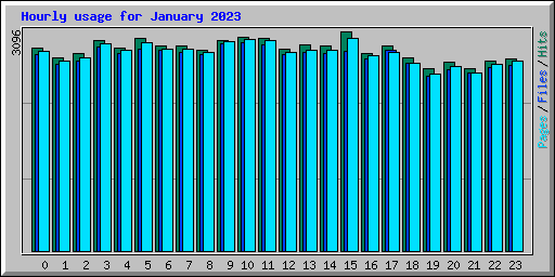 Hourly usage for January 2023