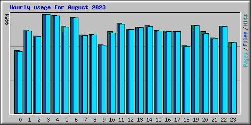 Hourly usage for August 2023