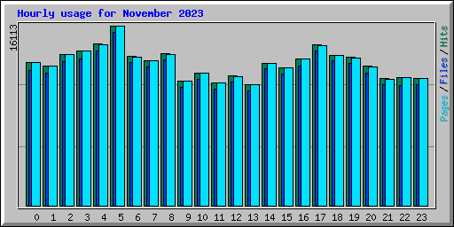 Hourly usage for November 2023