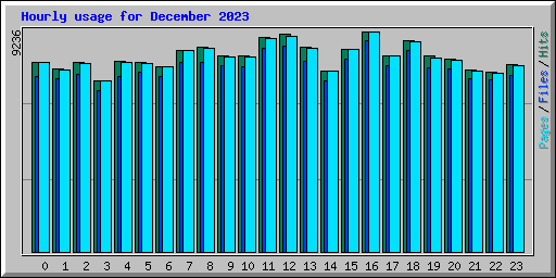 Hourly usage for December 2023