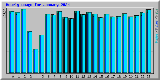 Hourly usage for January 2024