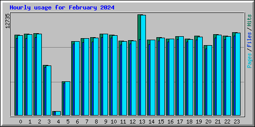 Hourly usage for February 2024