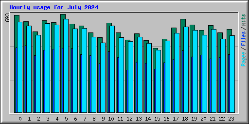 Hourly usage for July 2024
