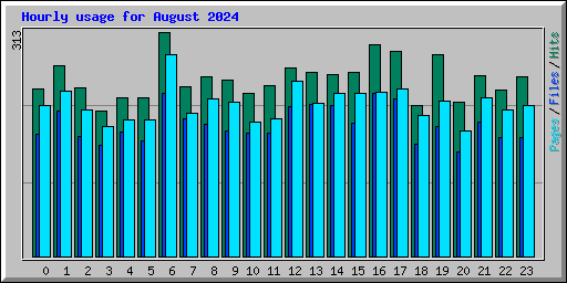 Hourly usage for August 2024
