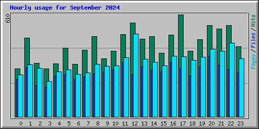 Hourly usage for September 2024