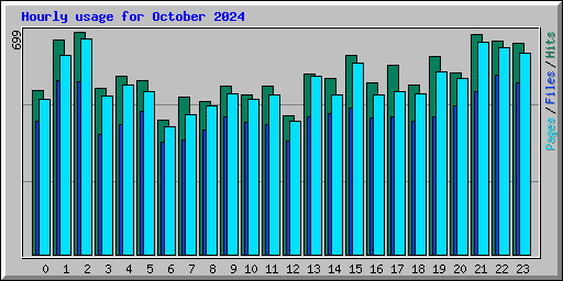 Hourly usage for October 2024