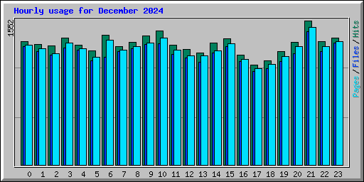 Hourly usage for December 2024