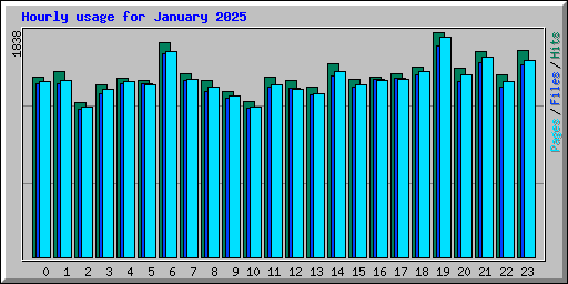Hourly usage for January 2025