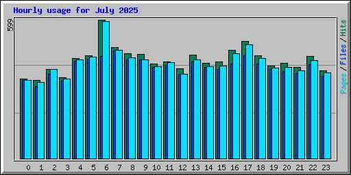 Hourly usage for July 2025