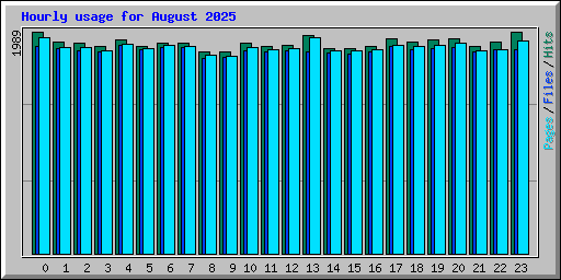 Hourly usage for August 2025