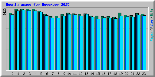 Hourly usage for November 2025