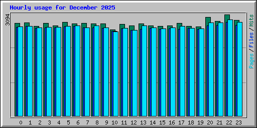 Hourly usage for December 2025