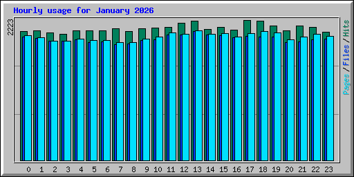 Hourly usage for January 2026