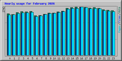 Hourly usage for February 2026